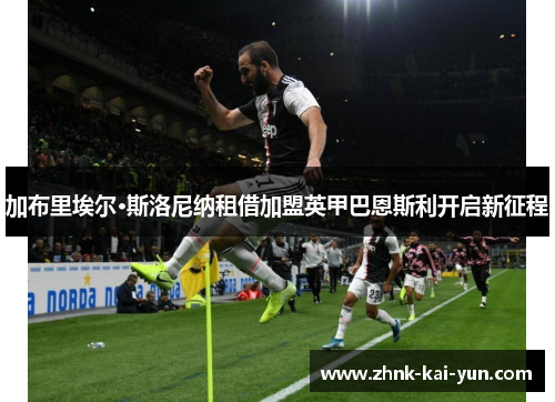 加布里埃尔·斯洛尼纳租借加盟英甲巴恩斯利开启新征程 加布里埃尔·斯洛尼纳租借加盟英甲巴恩斯利开启新征程