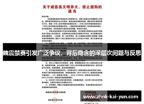 魏震禁赛引发广泛争议，背后隐含的深层次问题与反思