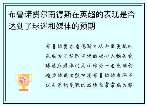 布鲁诺费尔南德斯在英超的表现是否达到了球迷和媒体的预期